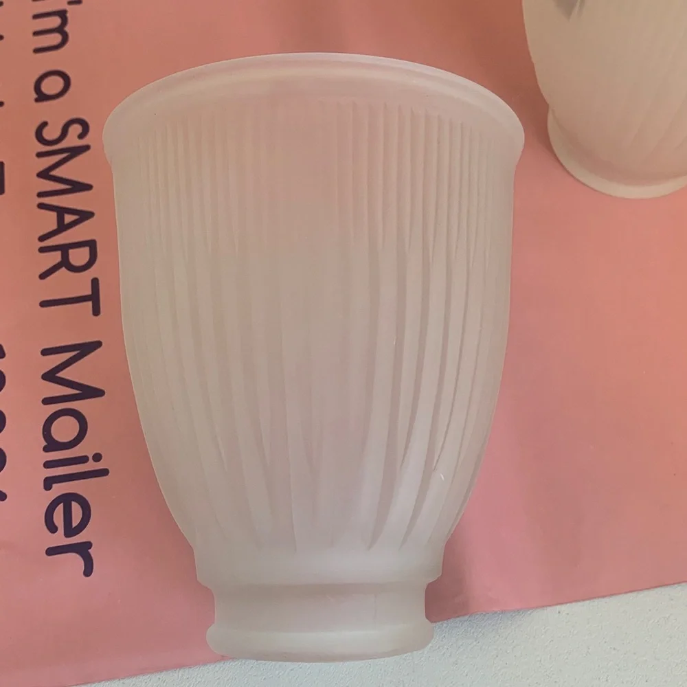 Westinghouse Frosted Pleated Glass Light Shades - Set of 2